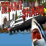 Miami Shark