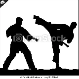 Karate Fighter