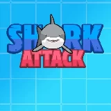 Shark Attack